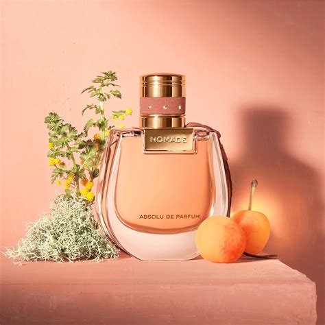 chloe nomade absolu de parfum vs eau de parfum|chloe nomade perfume shop.